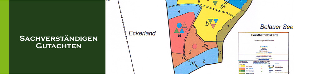 Sachverstndigen Gutachten fr Wald-Umwelt-Landschaft-Forst