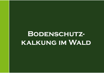 Bodenschutzkalkung im Wald