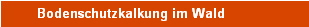 Bodenschutzkalkung im Wald